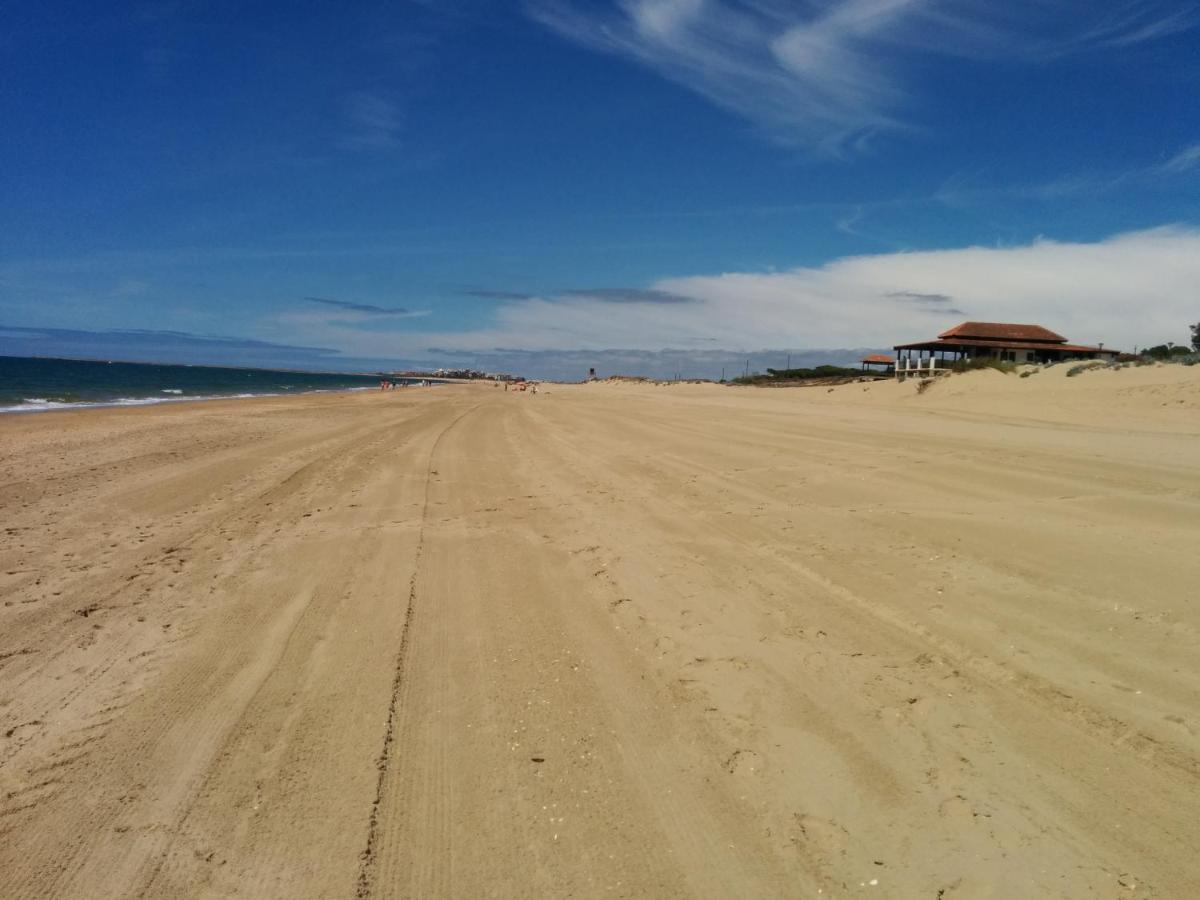 Estudio Con Piscina Y Garaje A 100 Mtr De La Playa Appartement *